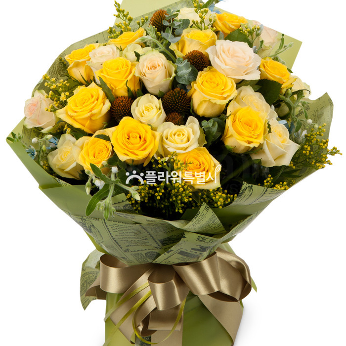 상세이미지