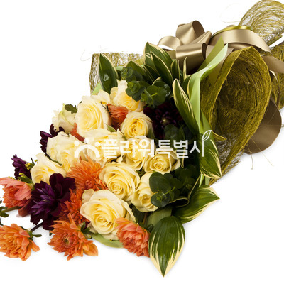 화려한외출