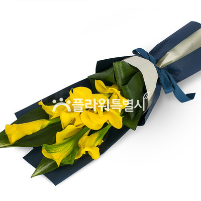 옐로우카라
