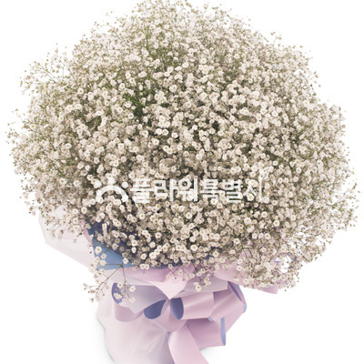 안개꽃다발