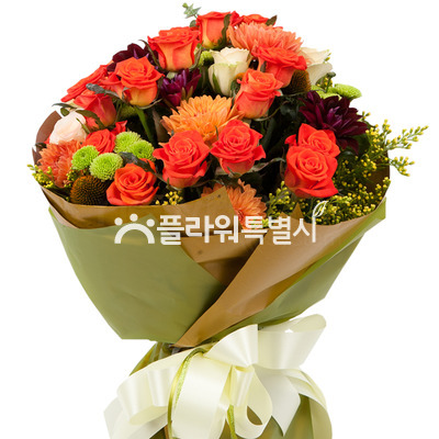 화려한외출(혼합다발9호)