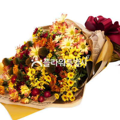 가을소국과의이야기