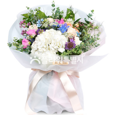 사랑이피어나