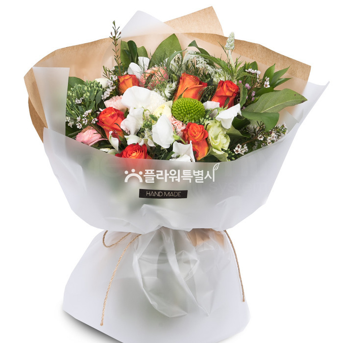 상세이미지
