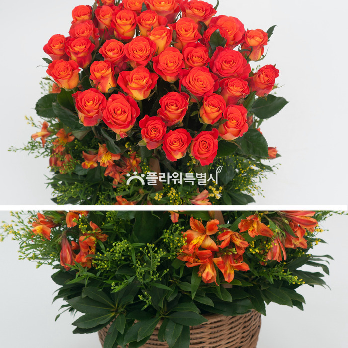 상세이미지