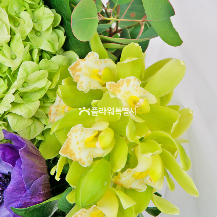 상세이미지
