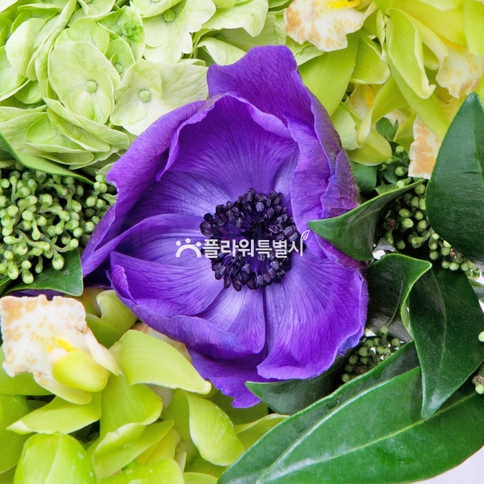 상세이미지