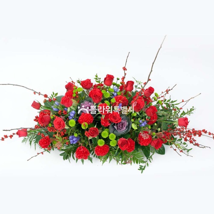 상세이미지