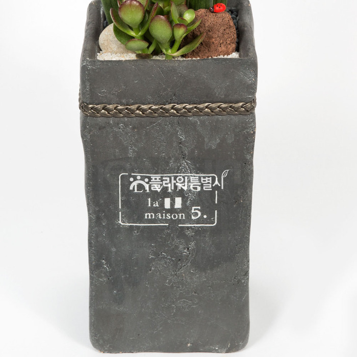 상세이미지