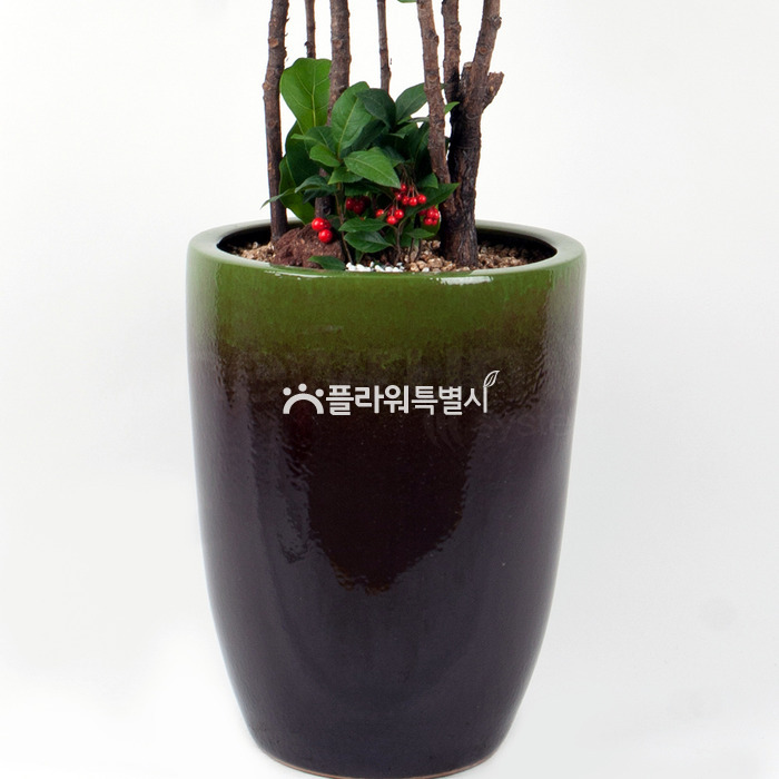상세이미지