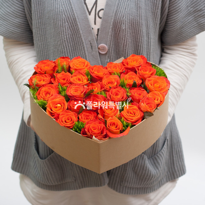 상세이미지