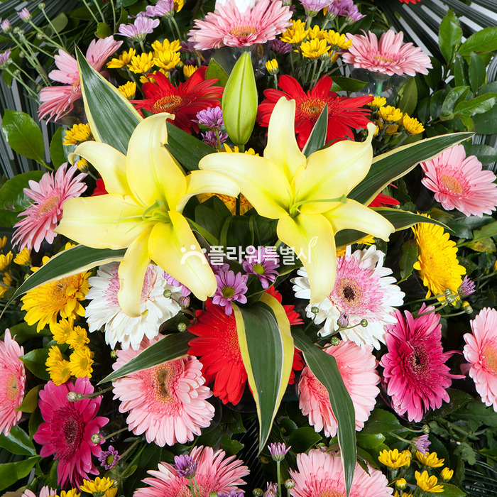 상세이미지