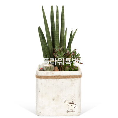 음이온방출스투키