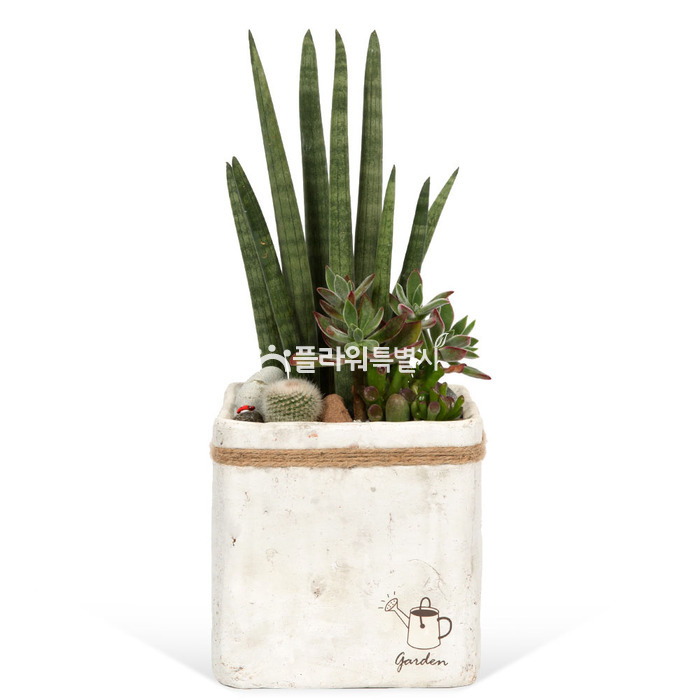 상세이미지