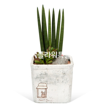 스튜키22