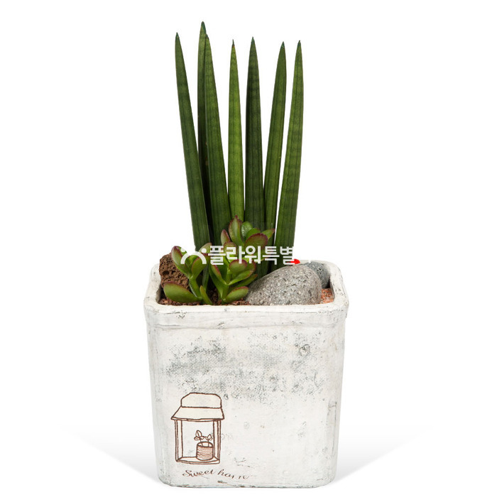 상세이미지