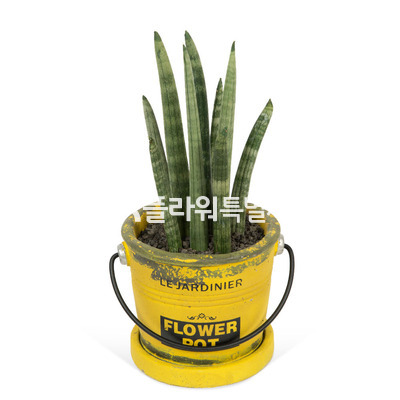 스투키빈티지
