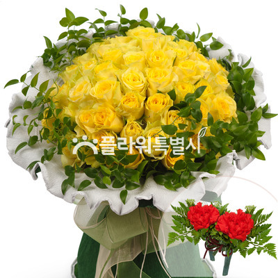 감사합니다