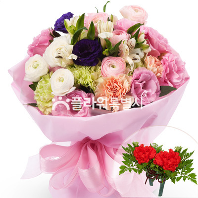 카네이션혼합꽃다발