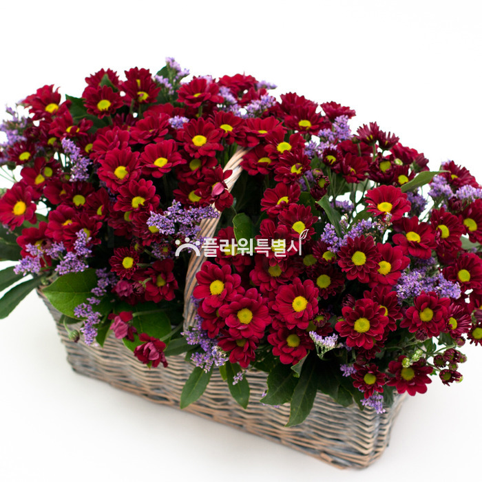상세이미지