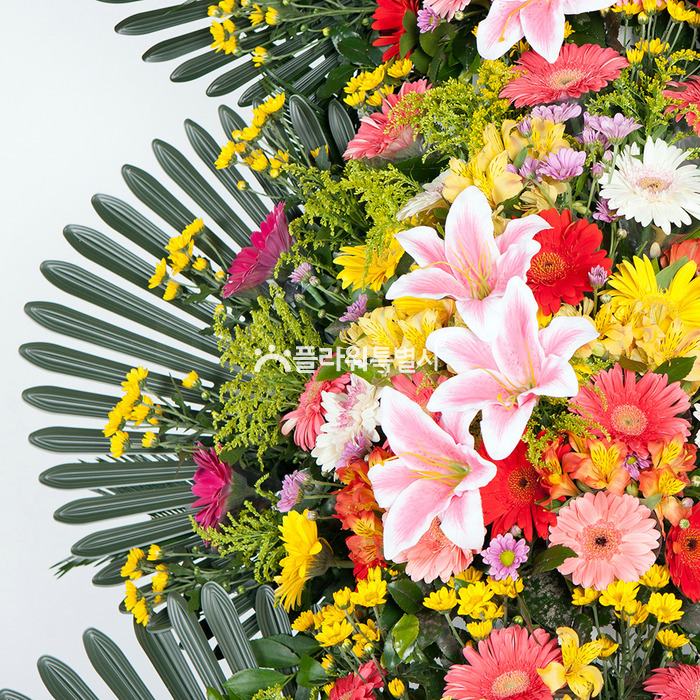 상세이미지
