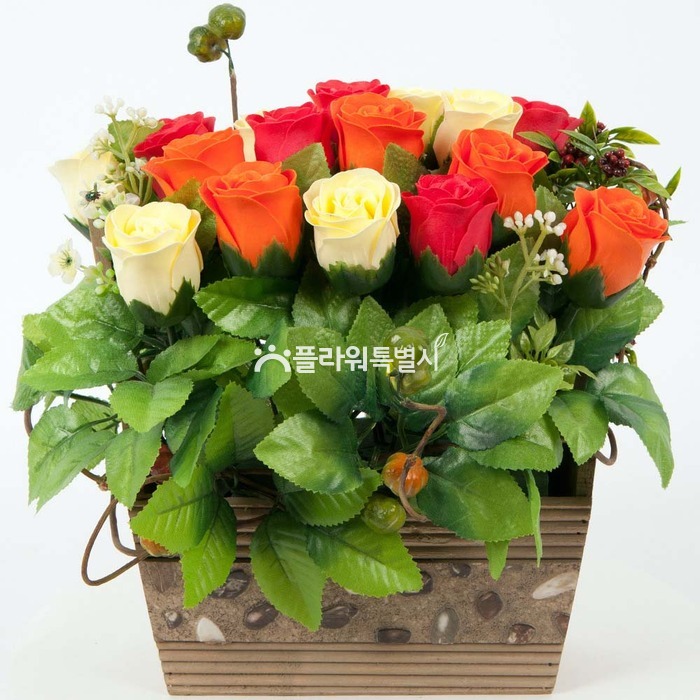 상세이미지