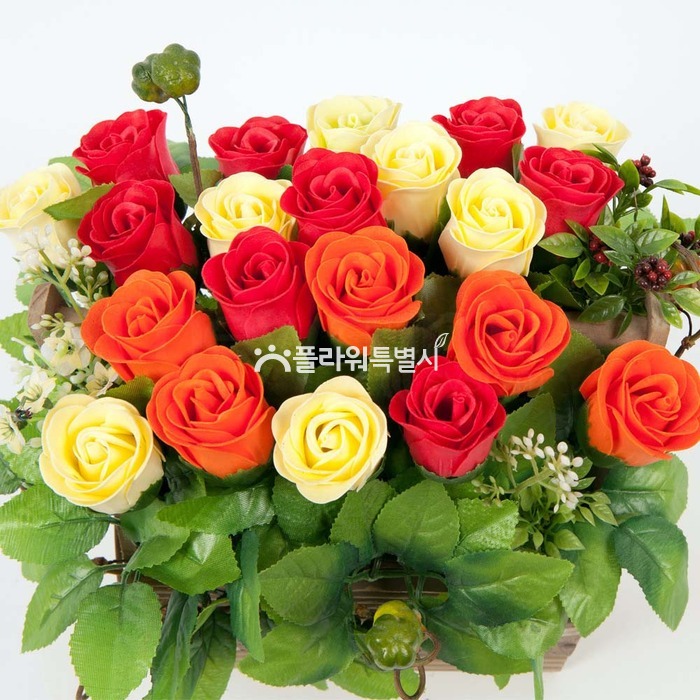 상세이미지