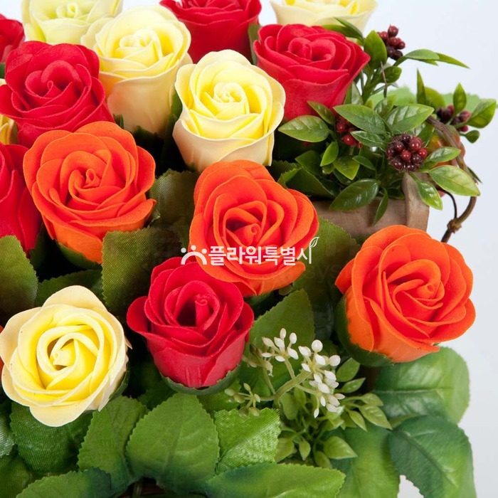 상세이미지