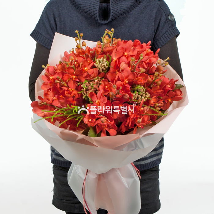 상세이미지