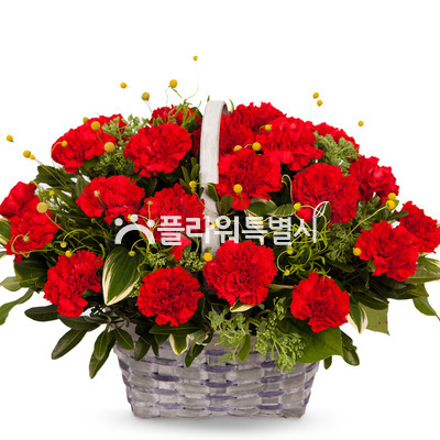 카네이션바구니