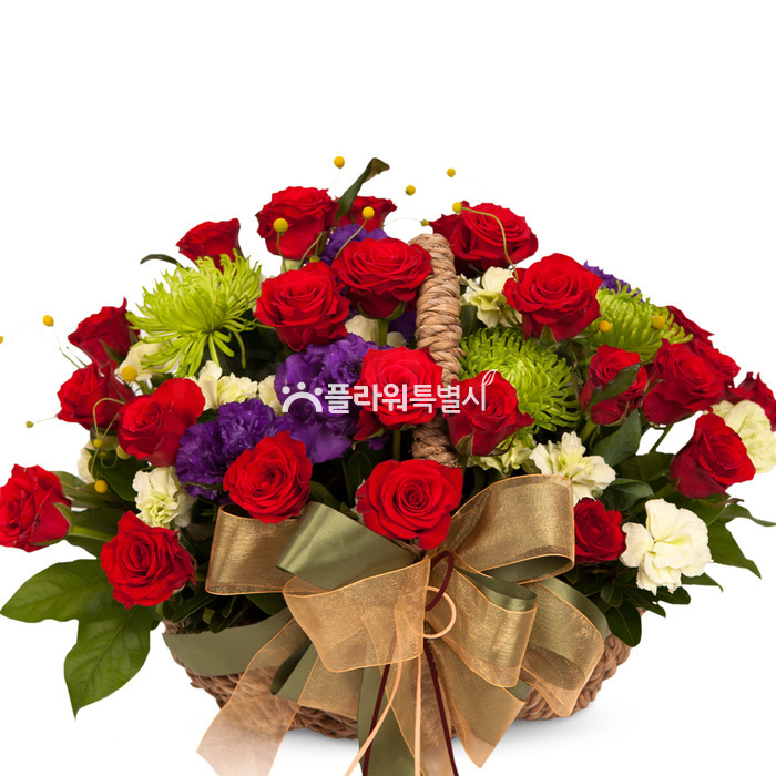 상세이미지