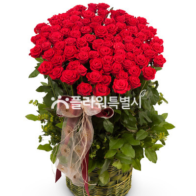 사랑하는그대에게