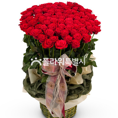 내마음을담아