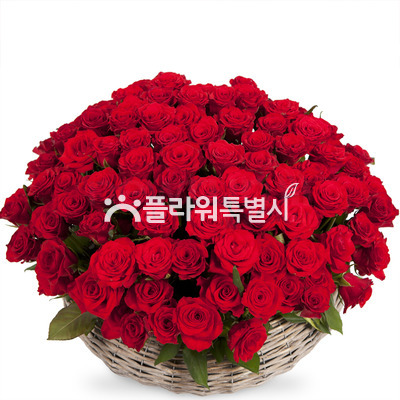 레드장미바구니