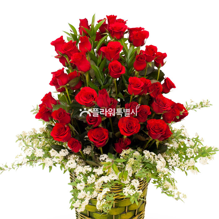 상세이미지