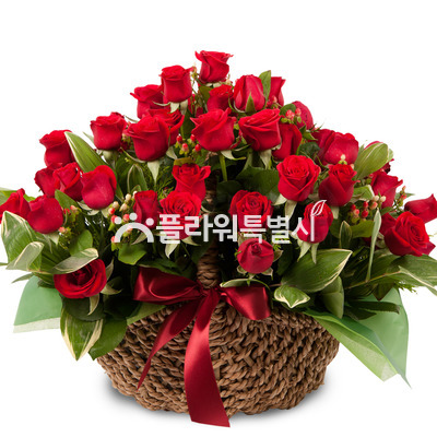 붉은장미바구니