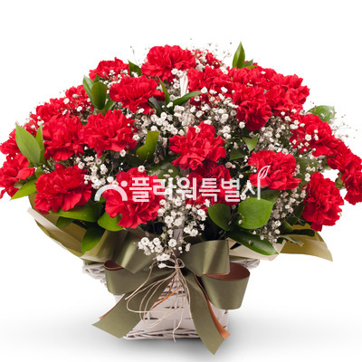 카네이션꽃바구니