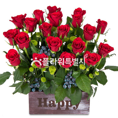 널사랑해