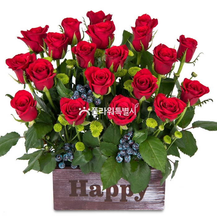 상세이미지