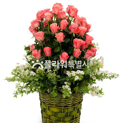 내사랑여인이여