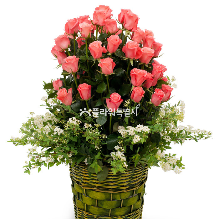 상세이미지