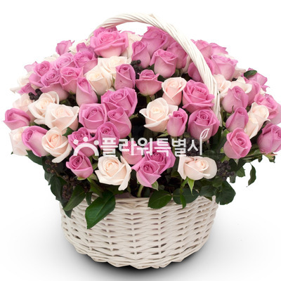 핑크꽃바구니