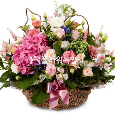 기쁜나날들