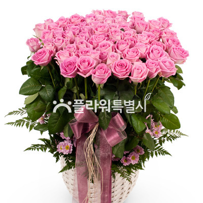 아침같은사랑