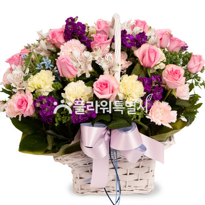 핑크빛바구니