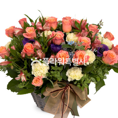 핑크톤바구니
