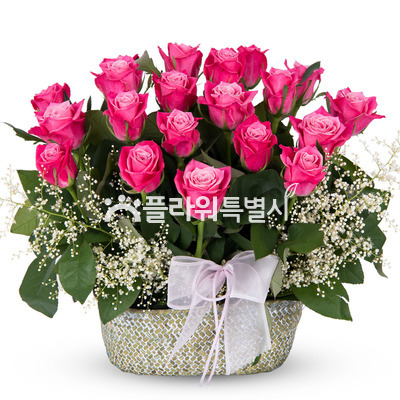 핫핑크장미바구니
