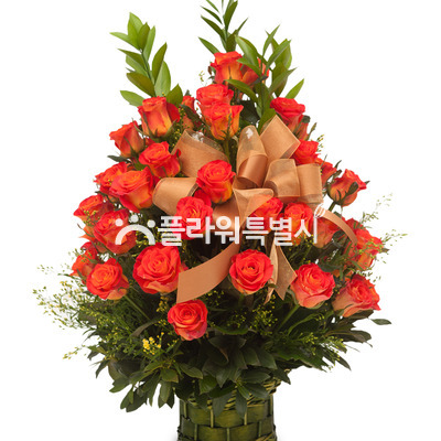 주황장미바구니
