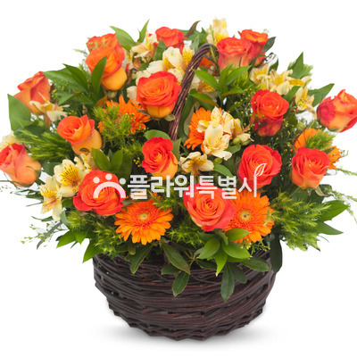 화려한외출