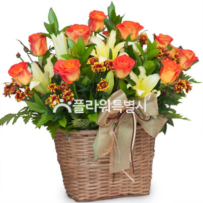 꽃바구니(359a)